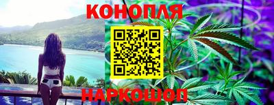 гидропоника Краснокаменск