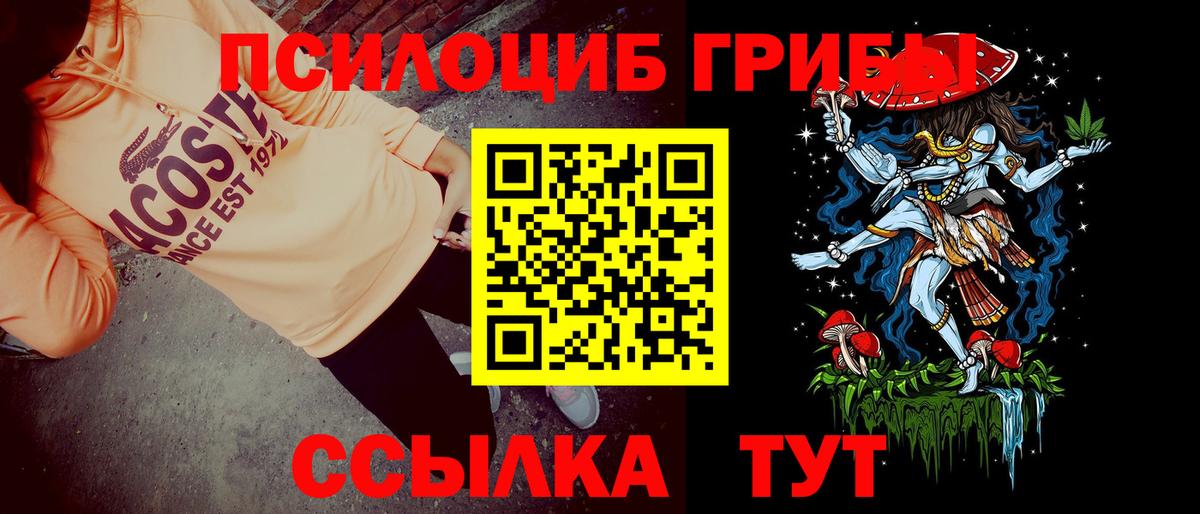 Псилоцибиновые грибы Psilocybe Котельники